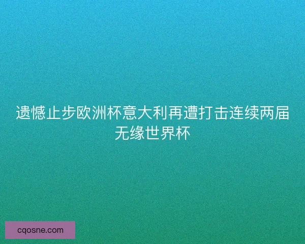 遗憾止步欧洲杯意大利再遭打击连续两届无缘世界杯