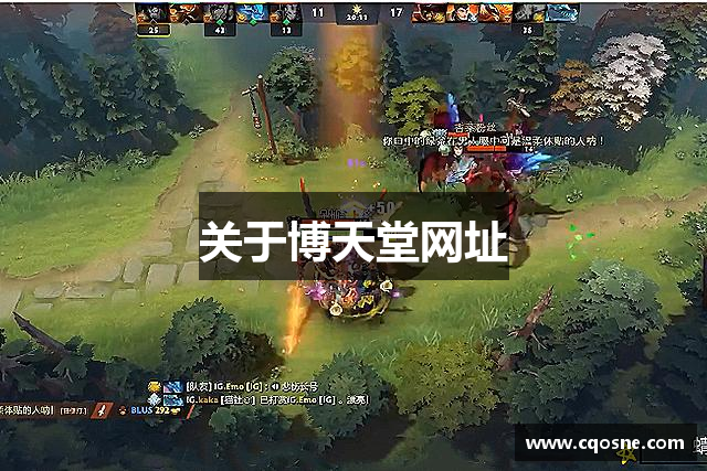 关于博天堂网址